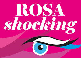 ROSA SHOCKING” “Eros e poesie dell’immaginario femminile”