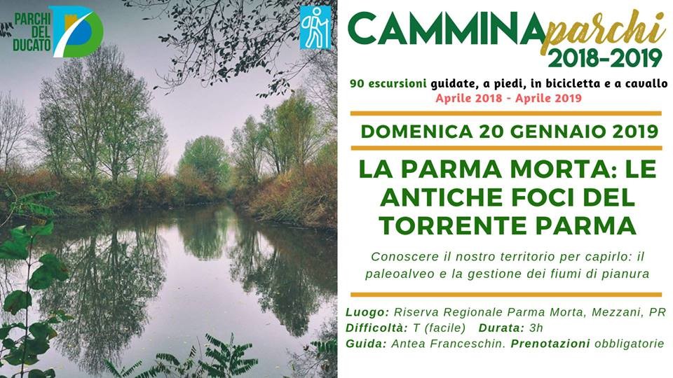 Camminaparchi - La Parma Morta: antiche foci del torrente Parma