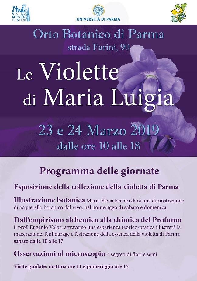 Le Violette di Maria Luigia