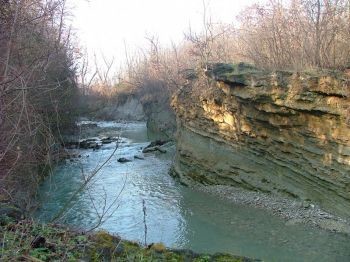 Due Passi nella preistoria: passeggiata geo-paleontologica e naturalistica nel Parco dello Stirone e del Piacenziano