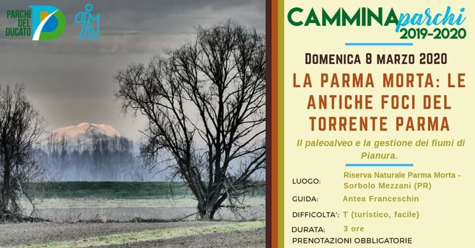 Camminaparchi - La Parma Morta: antiche foci del Torrente Parma
