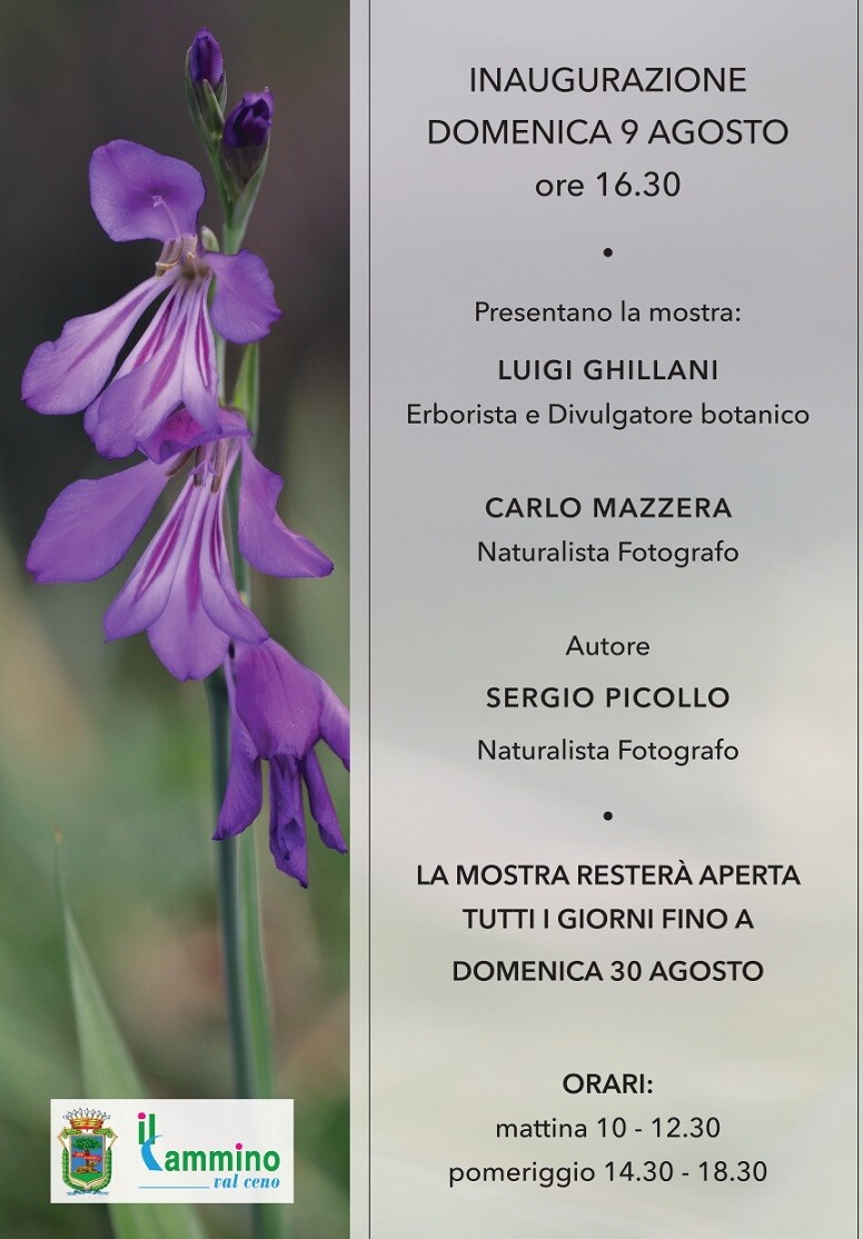 Il Cammino Valceno organizza la Mostra Fotografica: “Emozioni di fiore in fiore” ritratti di flora parmense