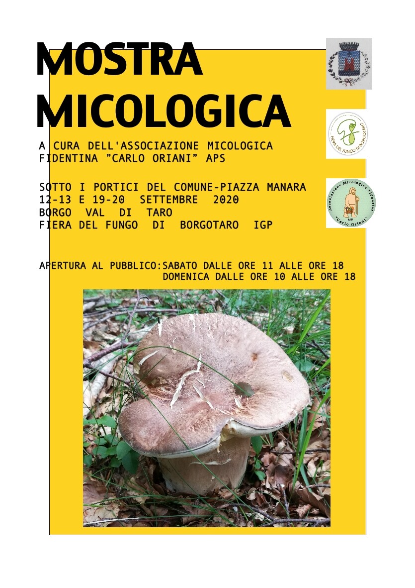 Mostra micologica  a Borgo Val di Taro in occasione della Fiera del Fungo a cura dell'Associazione Micologica Fidentina