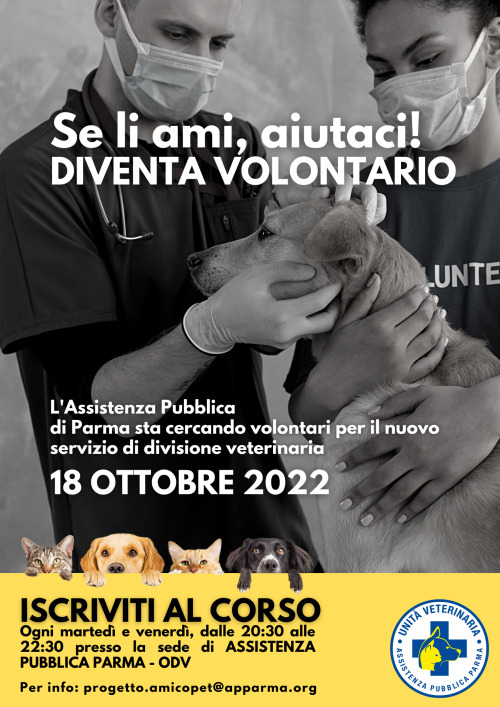 La spirale di solidarietà si allarga: nasce la prima ambulanza veterinaria di Parma e ci sarà un corso per i volontari