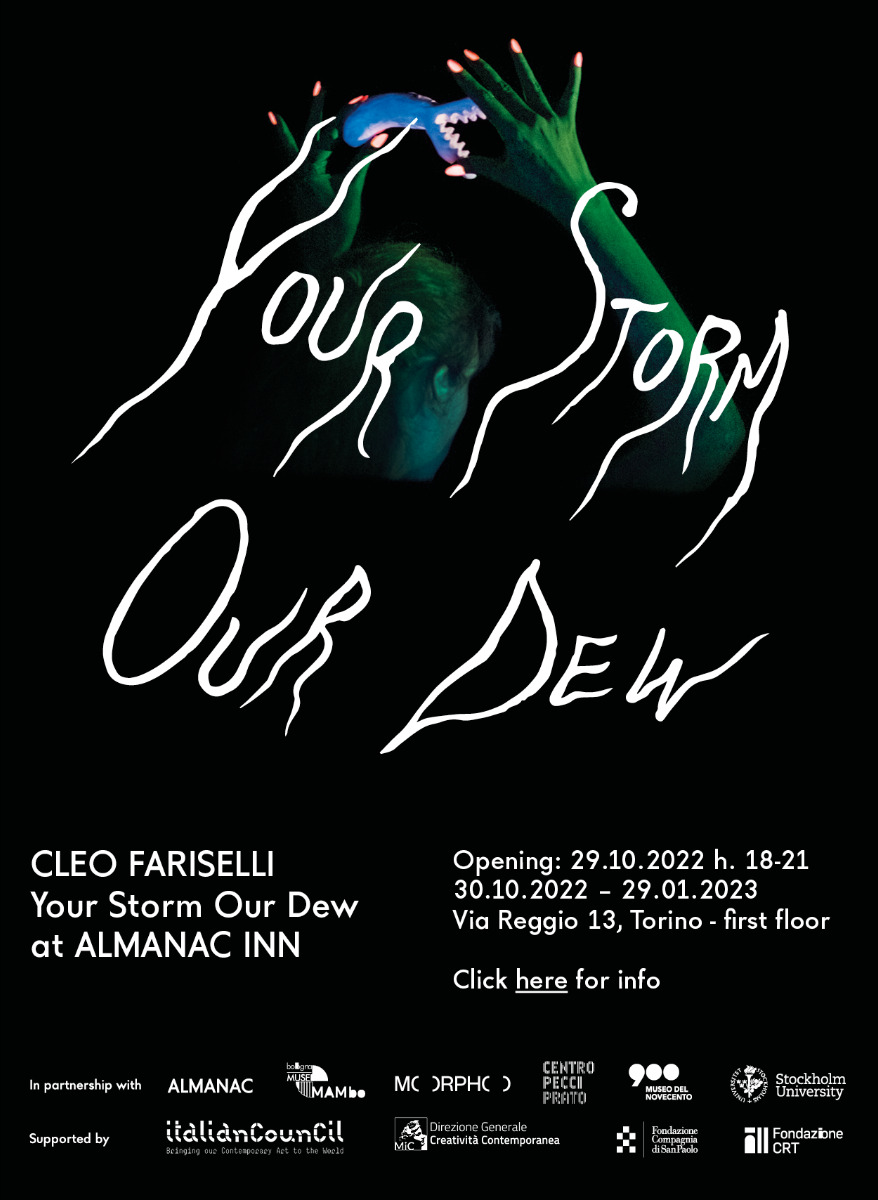 ALMANAC INN Cleo Fariselli Your Storm Our Dew 30.10.2022–29.01.2023