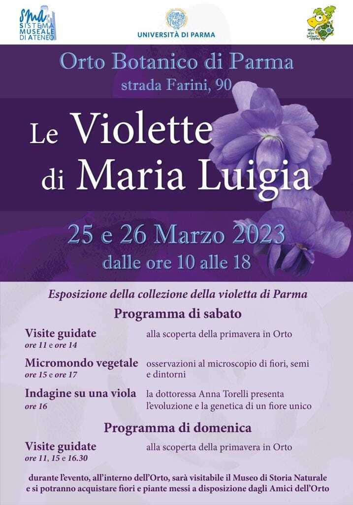 Le violette di Maria Luigia