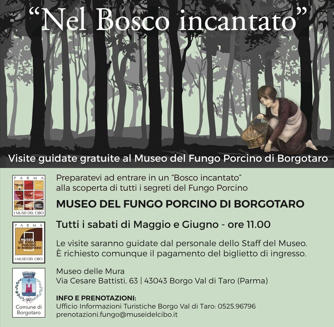 “Nel Bosco incantato”: visita guidata gratuita al Museo del Fungo Porcino di Borgotaro  Per scoprire i segreti del Fungo Po