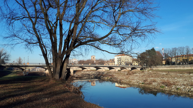 “Pulizie di Primavera” Sabato 10 giugno raccolta rifiuti nel greto del torrente Parma.