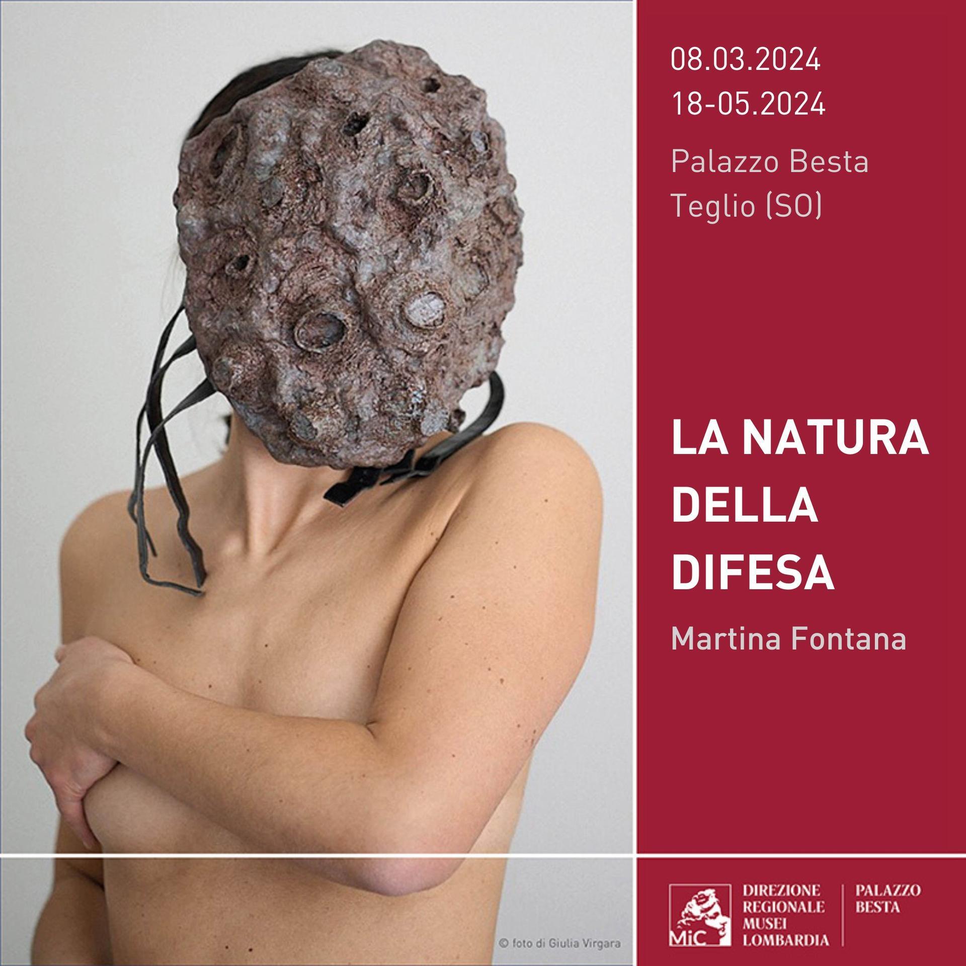 Martina Fontana “La natura della difesa” a Palazzo Besta, a Teglio (So)